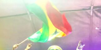 Bongofari for AFCON concerts